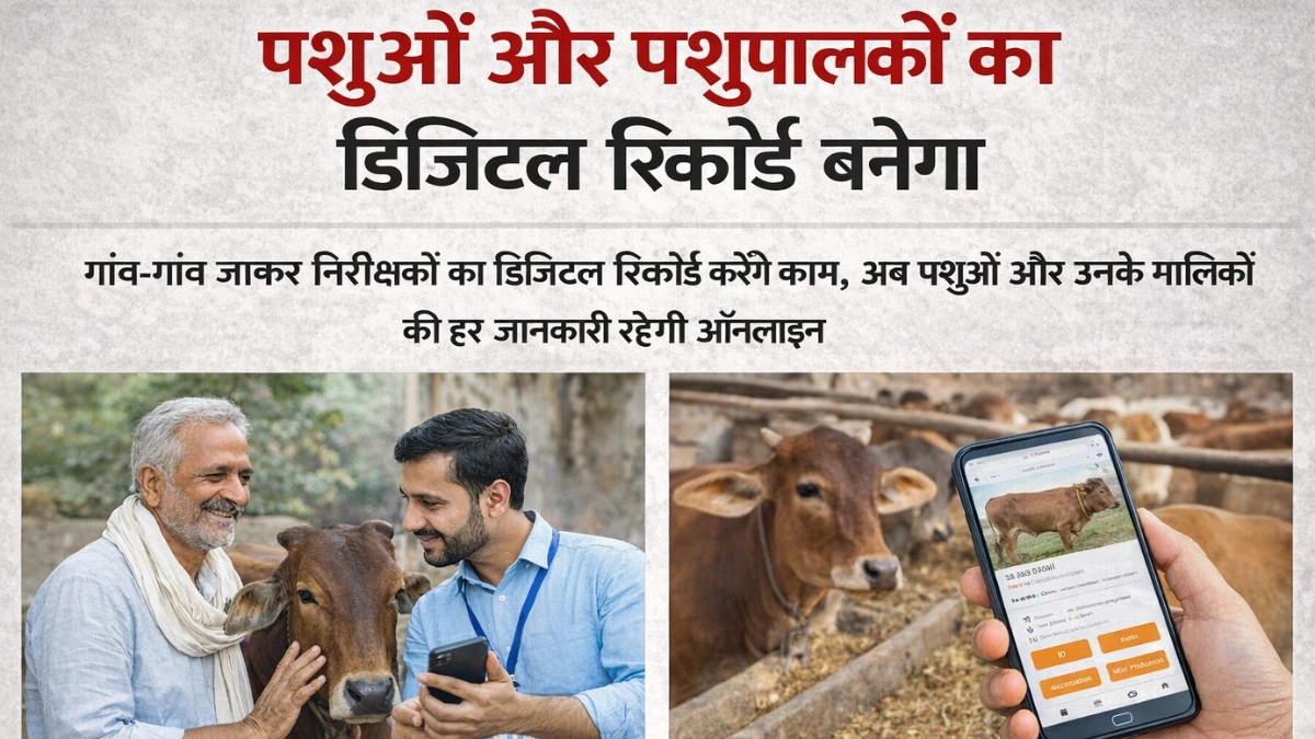 Animal Health Record System